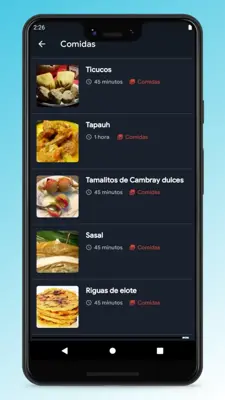 Honduran Recipes - Food App android App screenshot 3