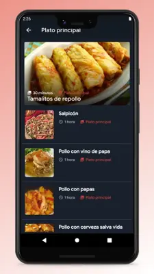 Honduran Recipes - Food App android App screenshot 5